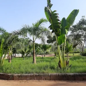 unnamed - 2025-09-02T122928.451