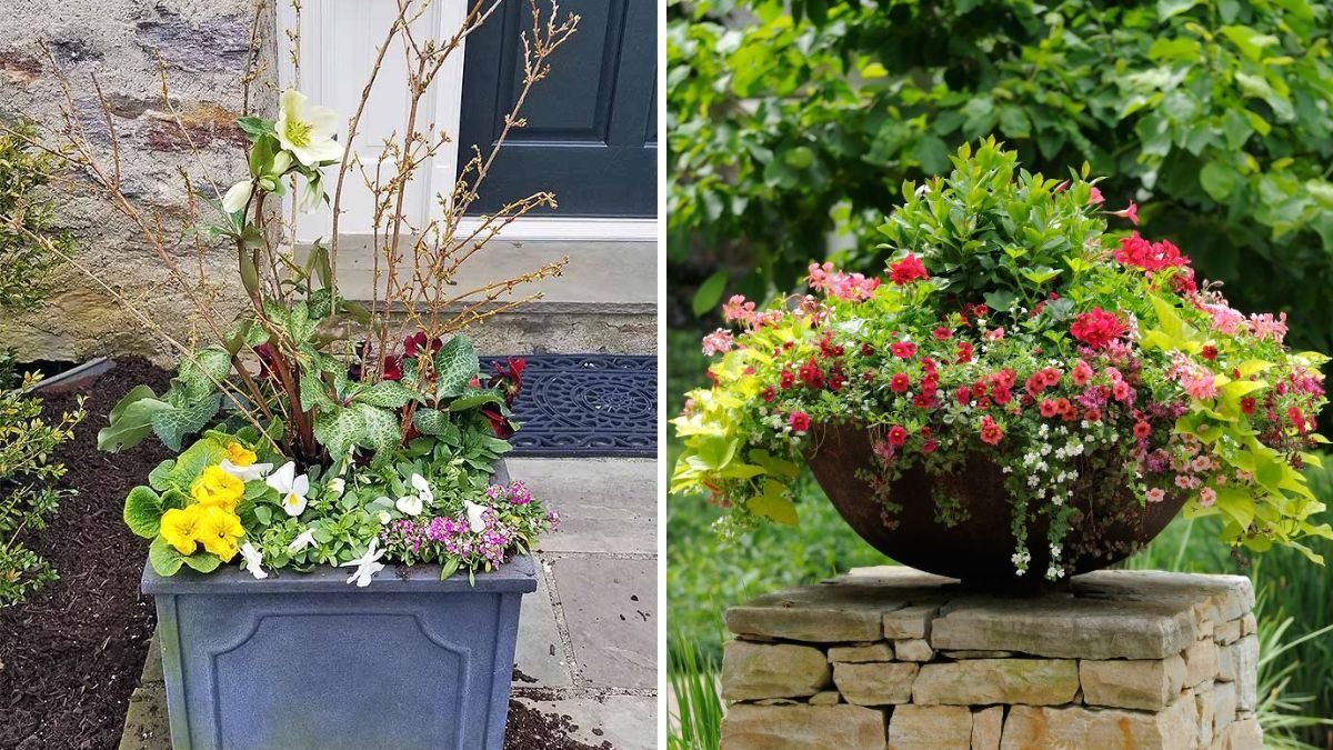 Create a Stunning Flower Planter in Just 3 Minutes: Fast, Easy, and Beautiful!