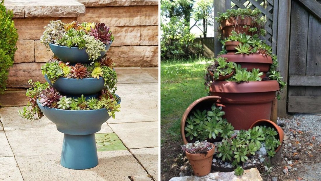 Create a Stunning Succulent Planter in Just 5 Minutes: A Quick & Beautiful DIY Guide for All Garden Lovers