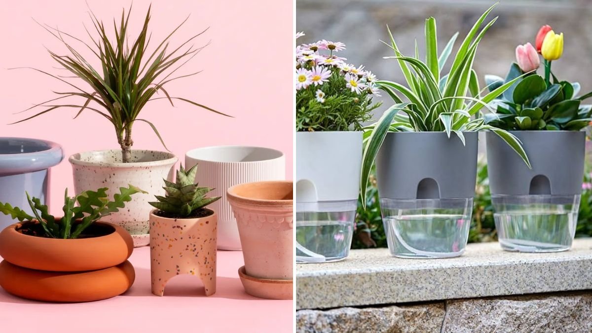 5 DIY Self-Watering Pot Ideas for Busy Gardeners: Keep Your Plants Thriving with Less Effort