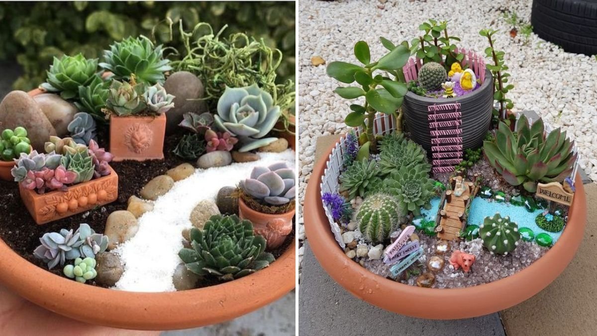 How to Create a Fairy Garden Using Succulents: A Magical Miniature World for Your Home or Balcony