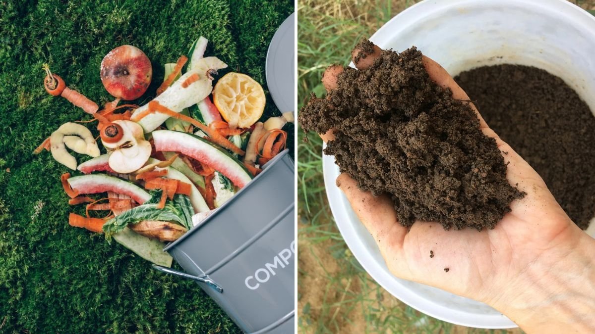Turn Waste Into Gold: How to Make Compost at Home Using Kitchen & Garden Waste (Easy English Guide)