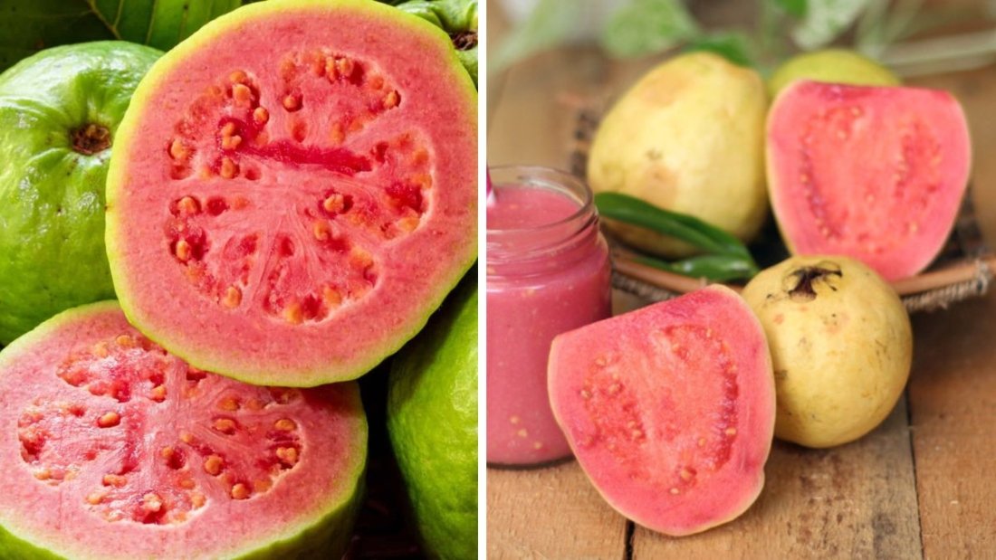 Which Country Is the Largest Apple Guava Producer in the World?