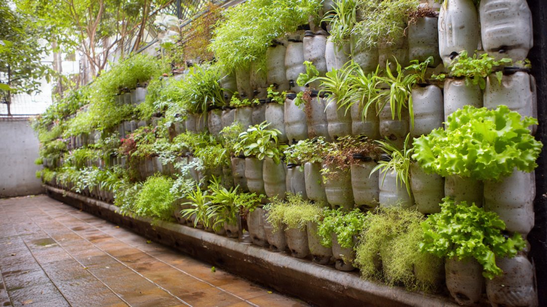 How to Create a Vertical Garden from Plastic Bottles: Easy DIY Guide for Sustainable Living
